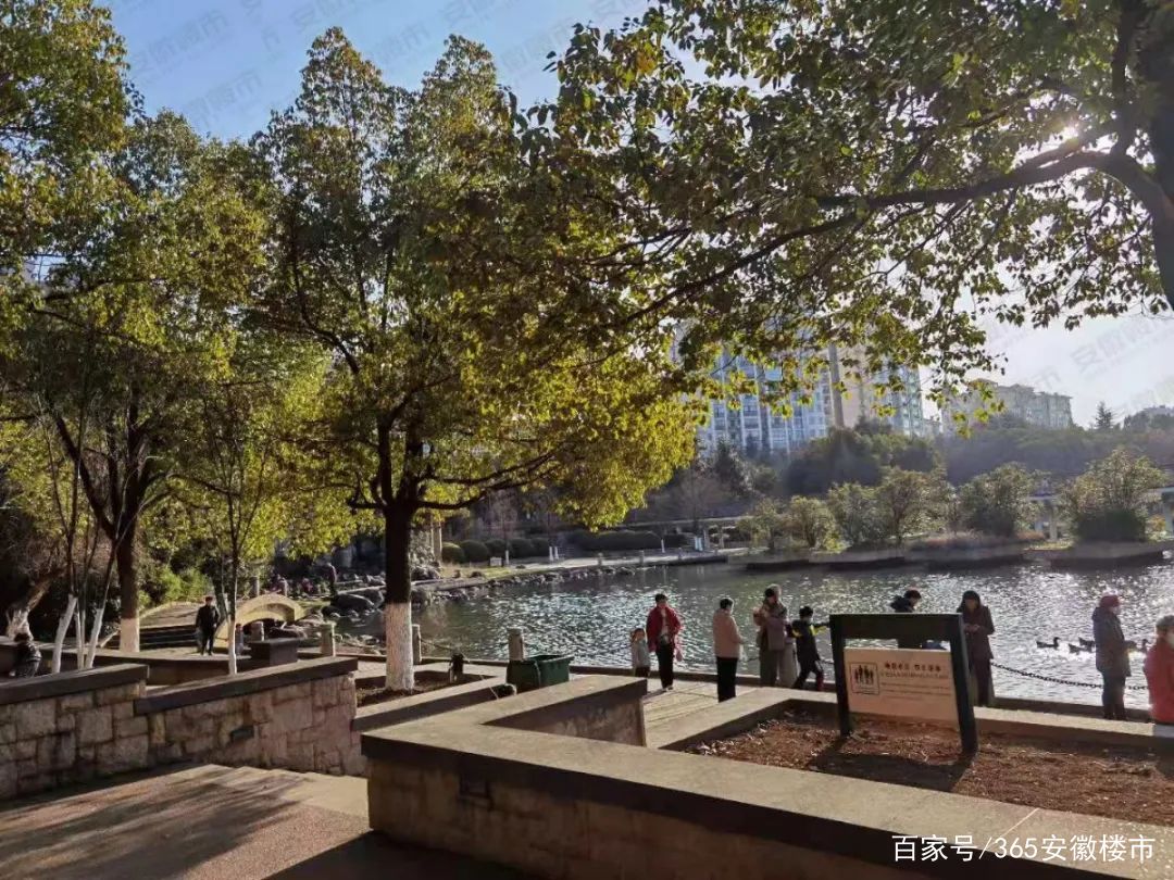 买时2.3万/㎡，卖时1.9万/㎡，合肥一批昔日豪宅，怎么了？