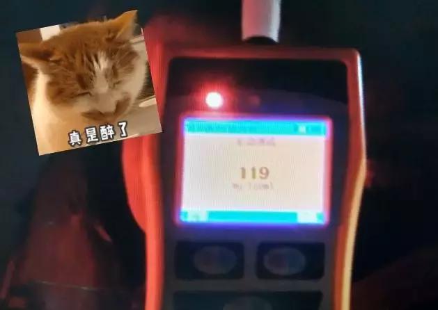 铁骑“快闪”查酒驾，昨晚17只“醉猫”落网！今晚免费“送代驾”！