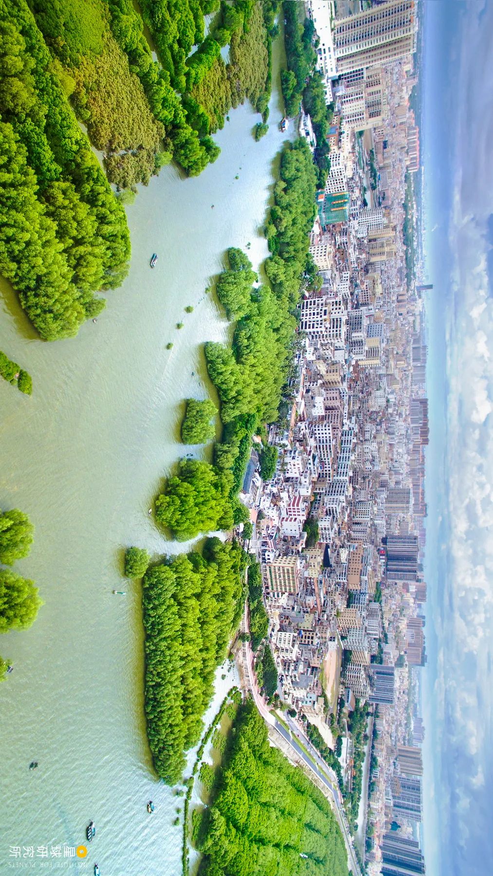 中国植树造林成果国外有什么看法,植树造林改造沙漠