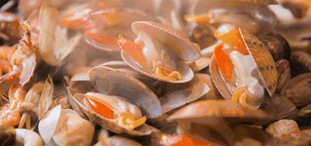 浙江景点花鸟岛,浙江风景花鸟岛