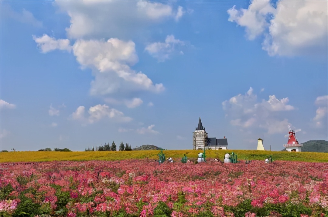 国庆肥西十大网红打卡地,合肥春游打卡攻略