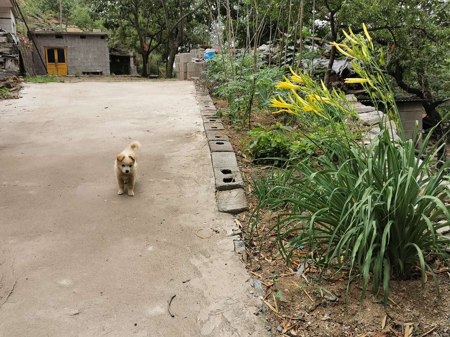 隐藏在大山的民宿酒店,最便宜的民宿客栈价格