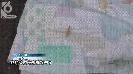 京东纸尿裤有虫,艾薇儿纸尿裤有虫么