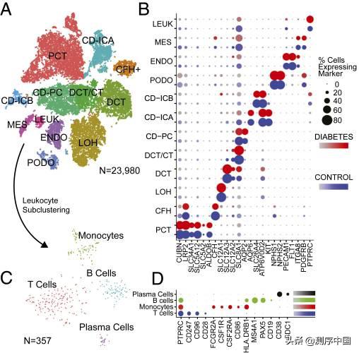 单细胞rna测序特点,纯干货分享阅读