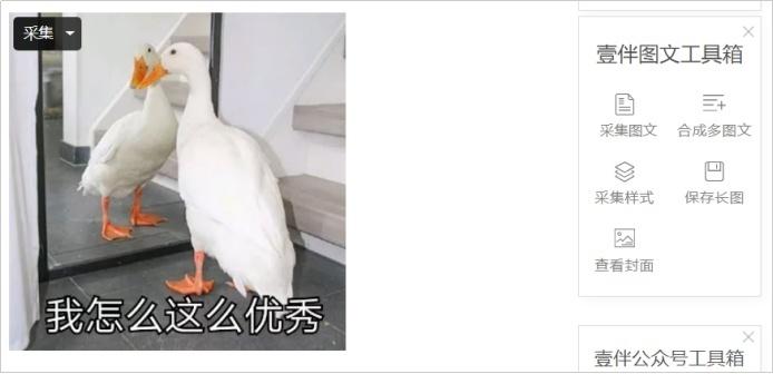 chrome扩展适用于microsoftedge,chrome必装的扩展程序