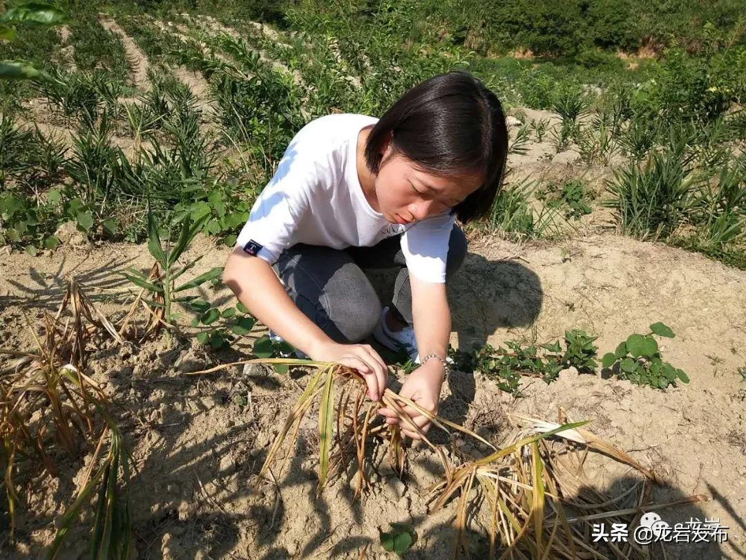 乘风破浪的小姐姐1,乘风破浪的小姐姐在台湾