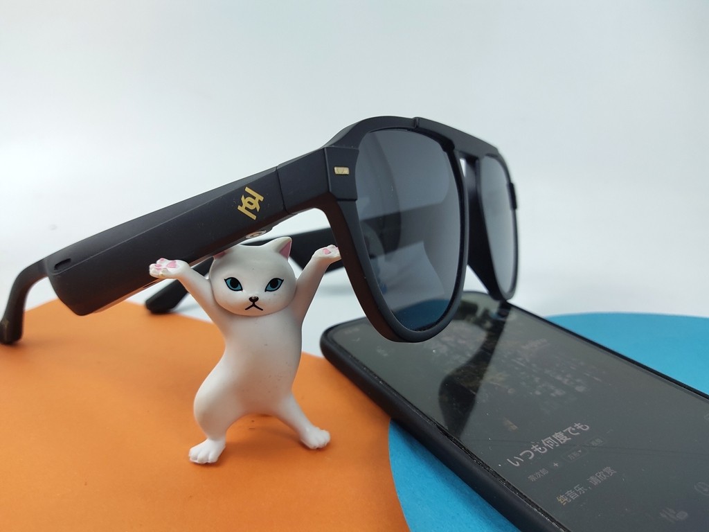 海伦凯勒太阳镜一镜两用,海伦凯勒太阳镜和暴龙太阳镜