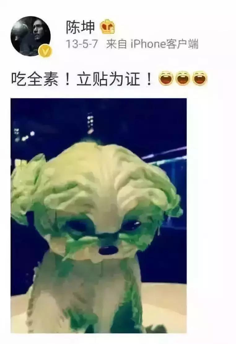 禅意的素食者,禅意的素食家陈坤