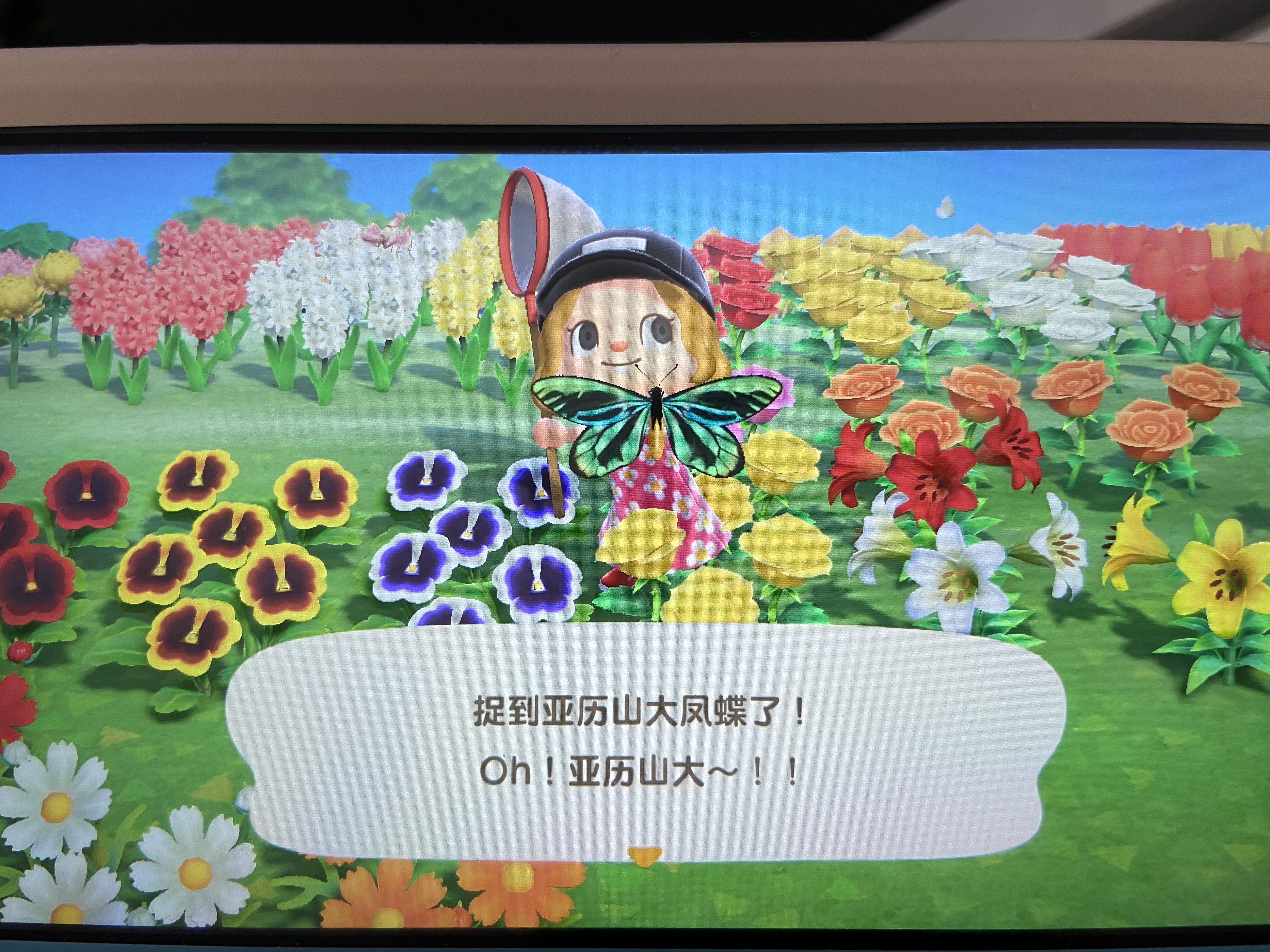 我的游戏生涯总结,我的半年游戏总结