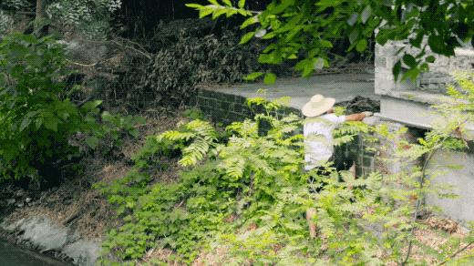 人间仙境般的世外桃源庭院,原始森林自建世外桃源