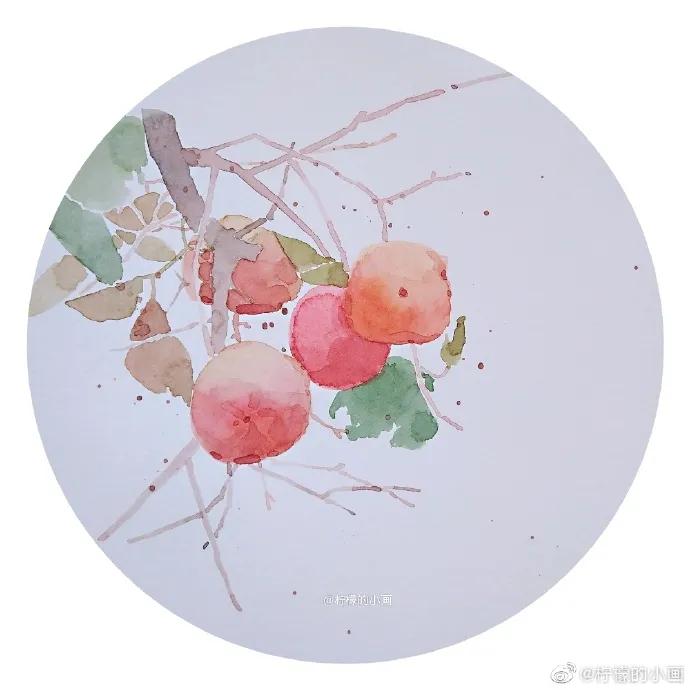 分享一组好看的小清新水彩插画,不来看看简单水彩小插画的教程吗