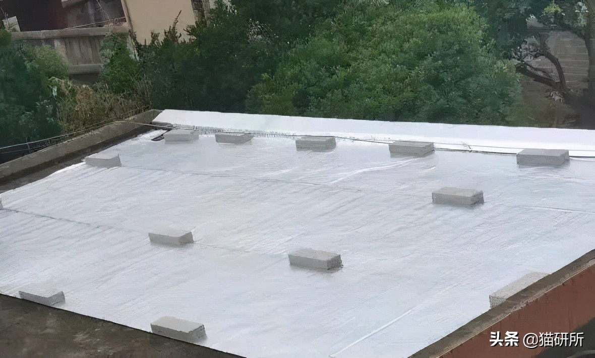 猫咪夏季好物推荐平价,猫咪防抓好物推荐