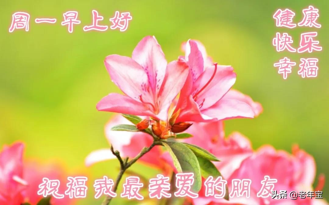 早上好周末愉快问候语动态表情包,周一早上好最新图片表情包