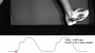 跑鞋技术演变,跑鞋衰退程度