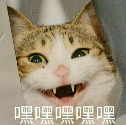 情侣酒店为什么床是圆的,情侣酒店房间的床为什么是圆的