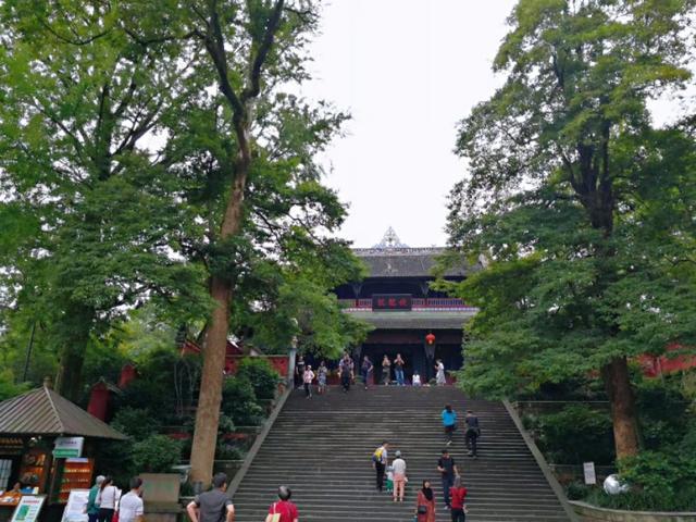 拼车去*藏西**，看功夫熊猫都江堰，导游带进购物店，让躺在床上体验