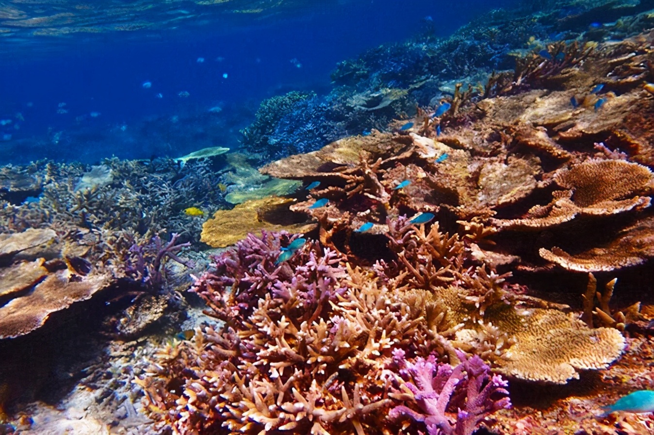 冲绳离岛推荐,移居冲绳正确方法