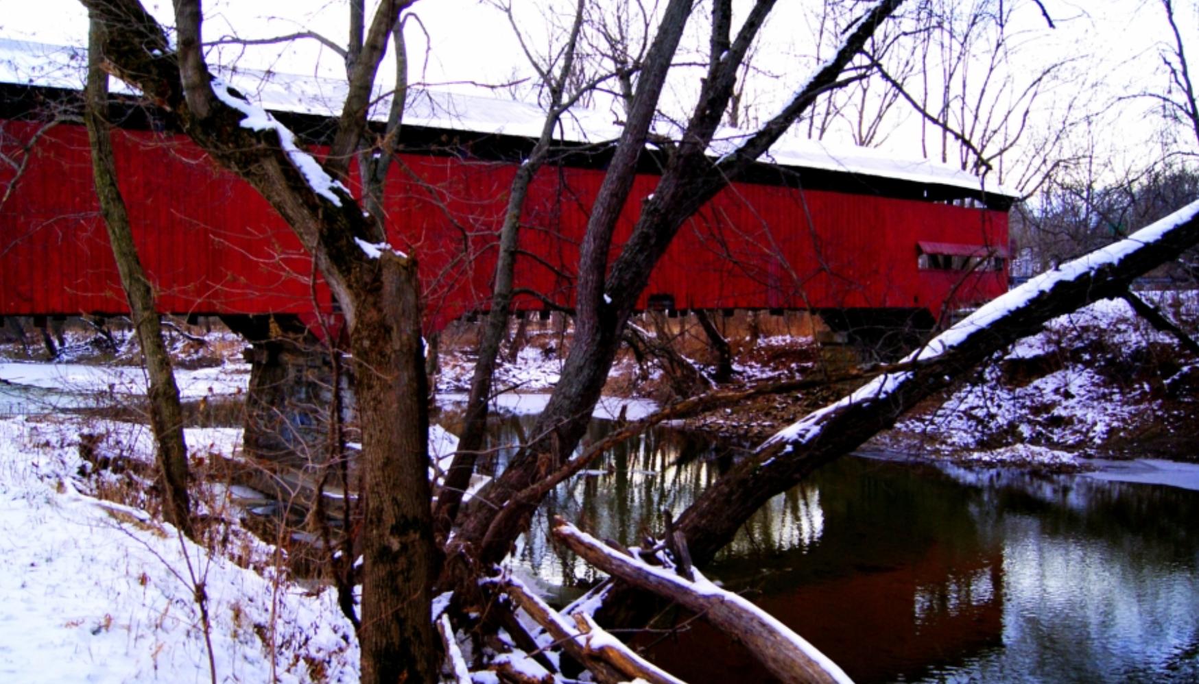 盘点奇葩美国车牌号,美国车牌为什么那么多图案