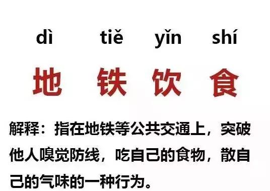 沈阳地铁黑车事件,沈阳地铁口黑车事件