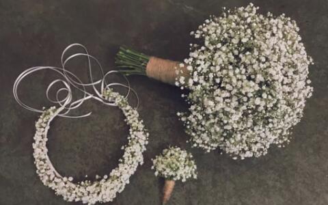 十二星座该送什么花,给十二星座送什么花最适合