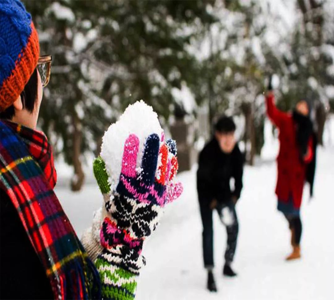 日本北海道6日游攻略,日本去北海道旅游攻略最新