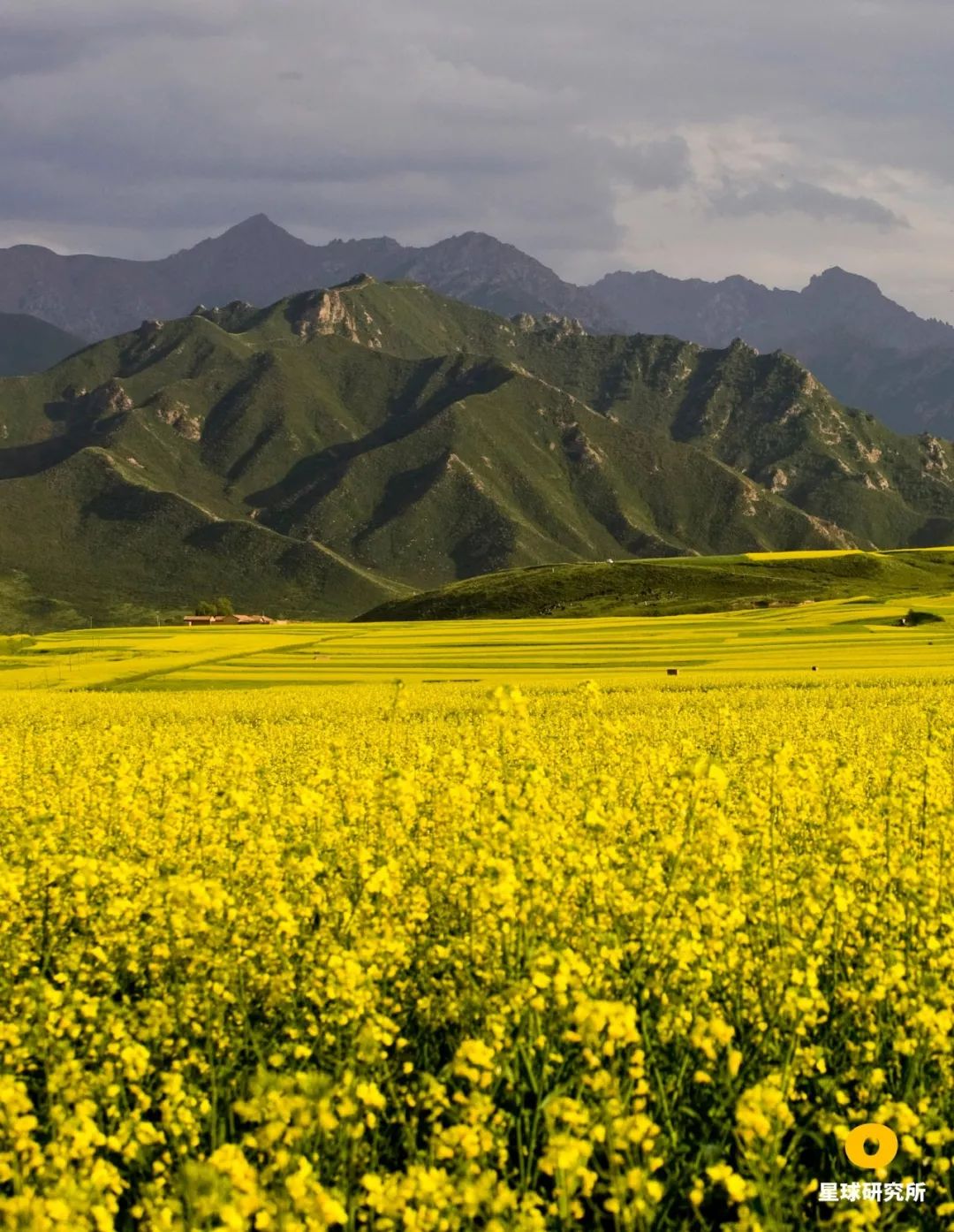 甘肃张掖祁连山风光,甘肃张掖十大美景
