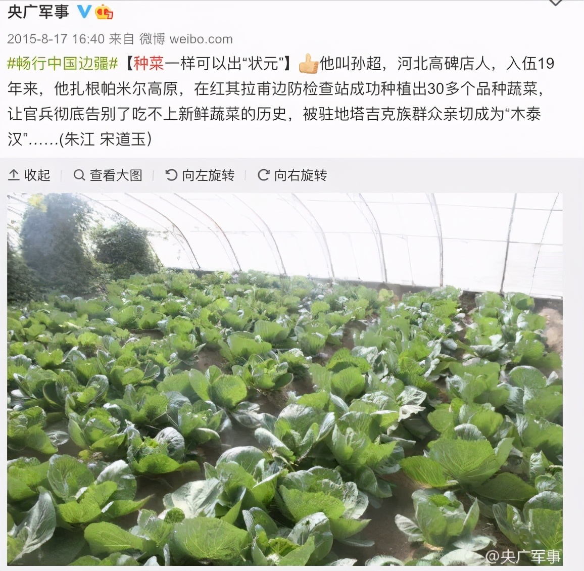 中国的种菜天赋要多离谱,中国种菜天赋惊呆外国人解说