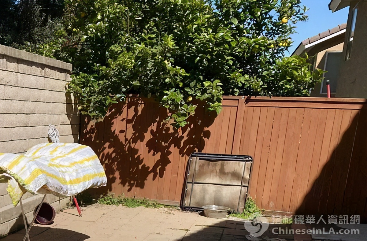 华男抱怨女邻居在家裸奔逗狗！律师：美国性骚扰执法男女有别