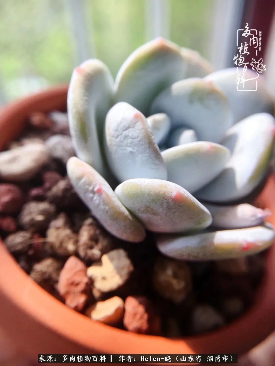 人到中年温暖如初,人到中年岁月静好