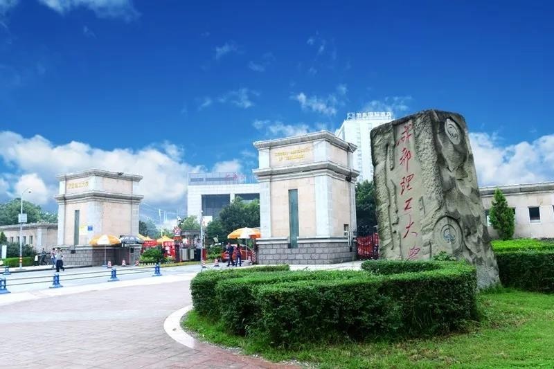 入选国家队铜牌,入选国家队的荣誉