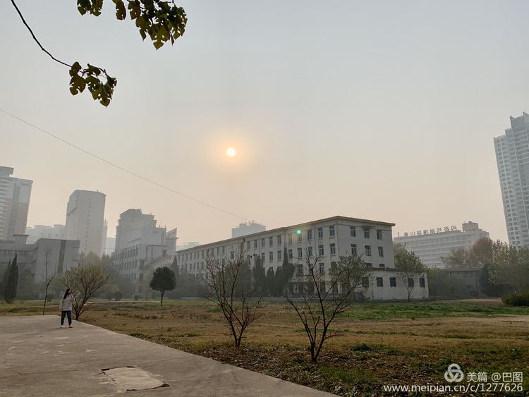 手机拍洛阳,涧西牡丹广场老照片