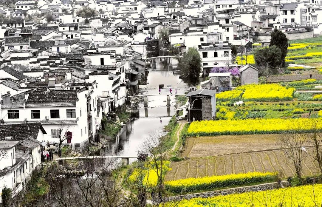 安徽春天美丽的视频,安徽美丽的春天