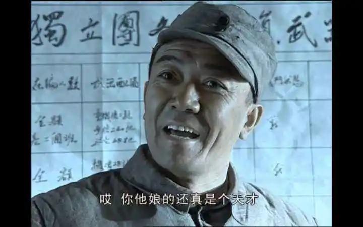 养猫智商税解析,养猫8大智商税