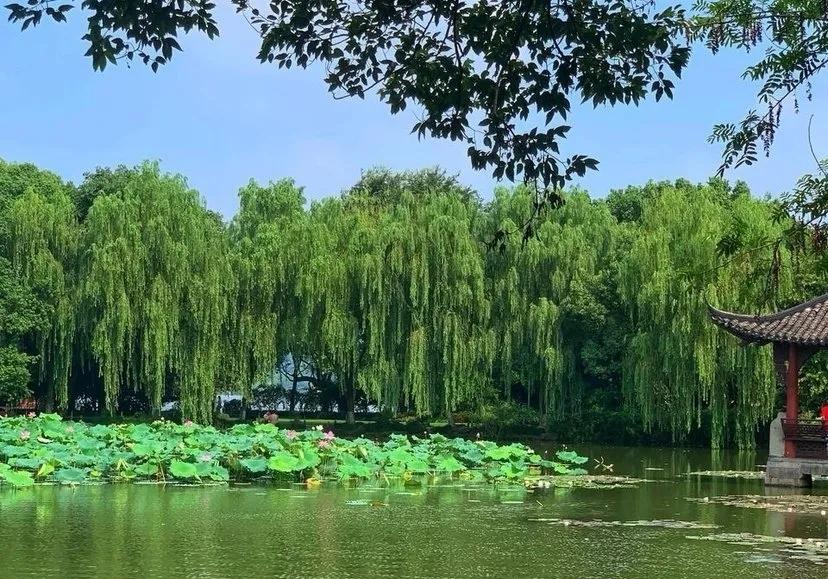 最恋,最恋江南烟雨