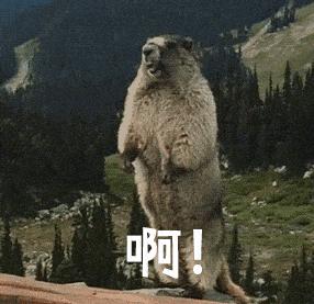 暗黑破坏神2讲了啥,暗黑破坏神2讲的是什么事