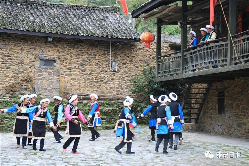 来雅安旅游,雅安二郎山休闲特色民宿