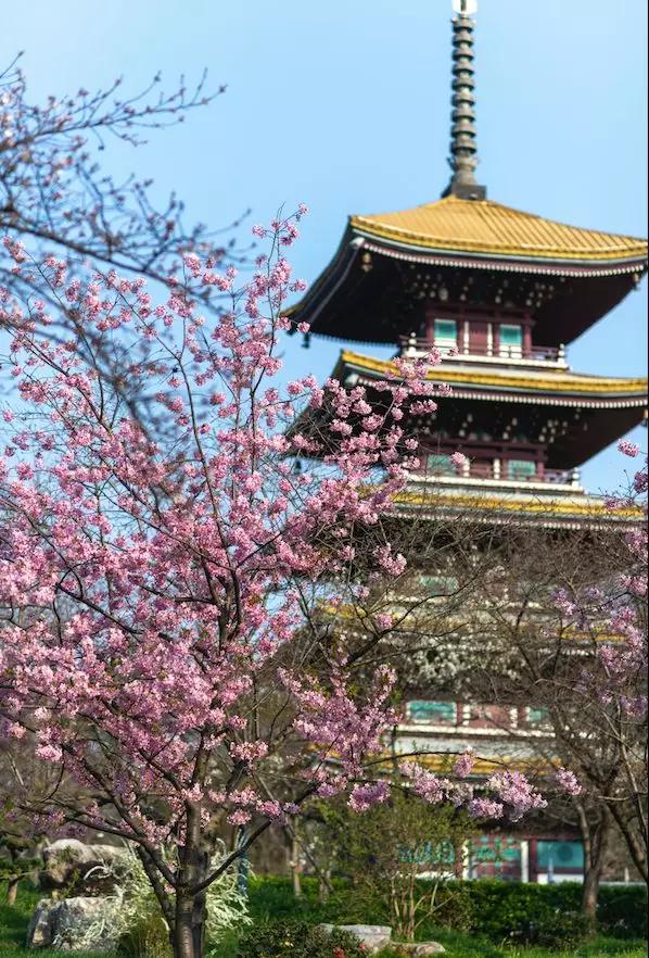 今日几点几分春分,今年春分节气日