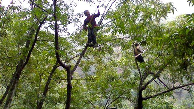 收购价猛涨,收购价飙涨