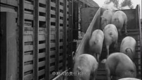 三趟快车|不为人知的“赶车人”（二）