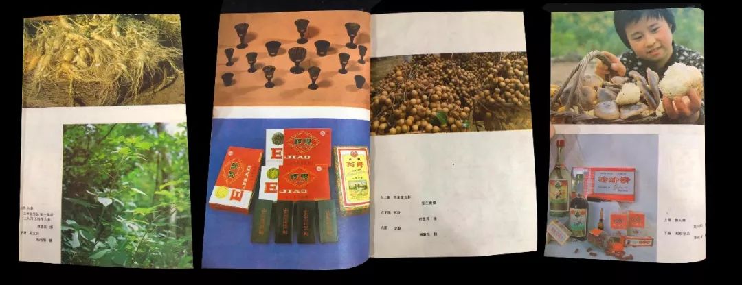 涨知识中国省市之最,涨知识43项来自中国的世界非遗