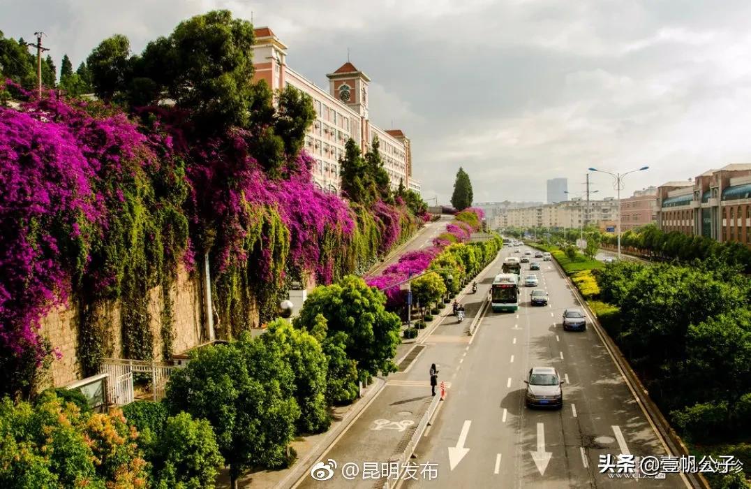 被大理的美景所折服,被丽江的风景美到了