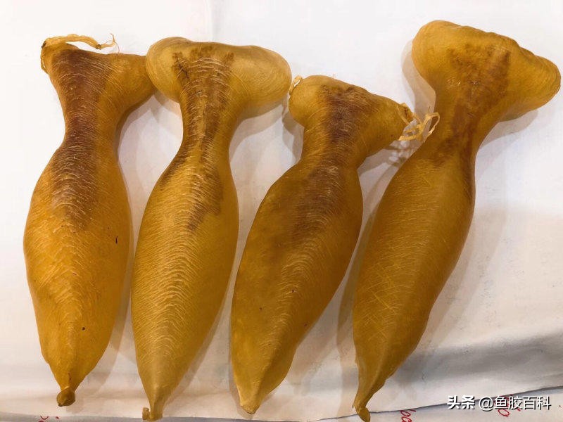 鱼胶性价比超高的4款鱼胶,什么鱼胶经济实惠好用