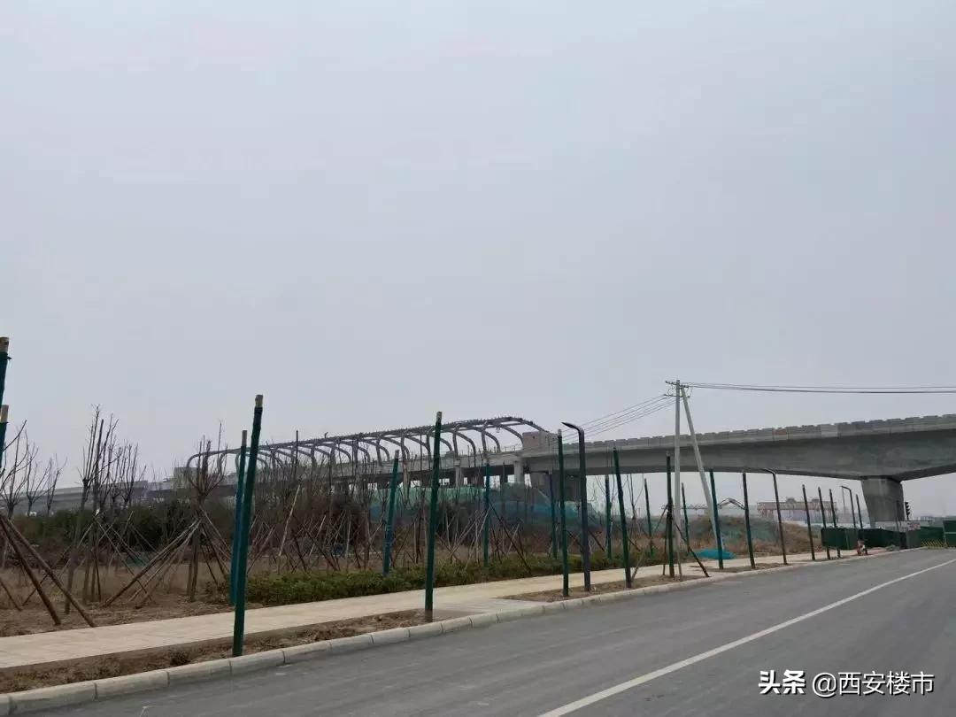 创新港现场考察,创新港真实照片