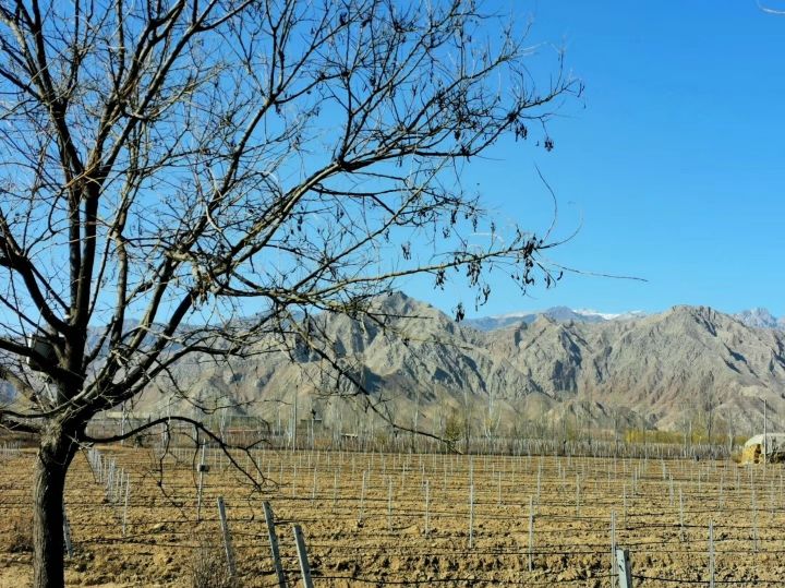 比你优秀的人还比你努力人民日报,比你优秀的人还比你努力毒鸡汤