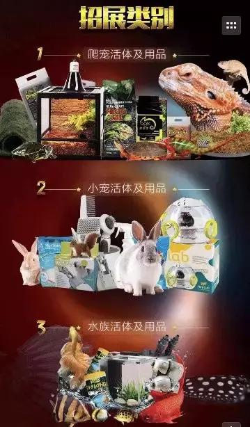 中国爬宠文化巡展时间表,中国爬宠文化巡展上海