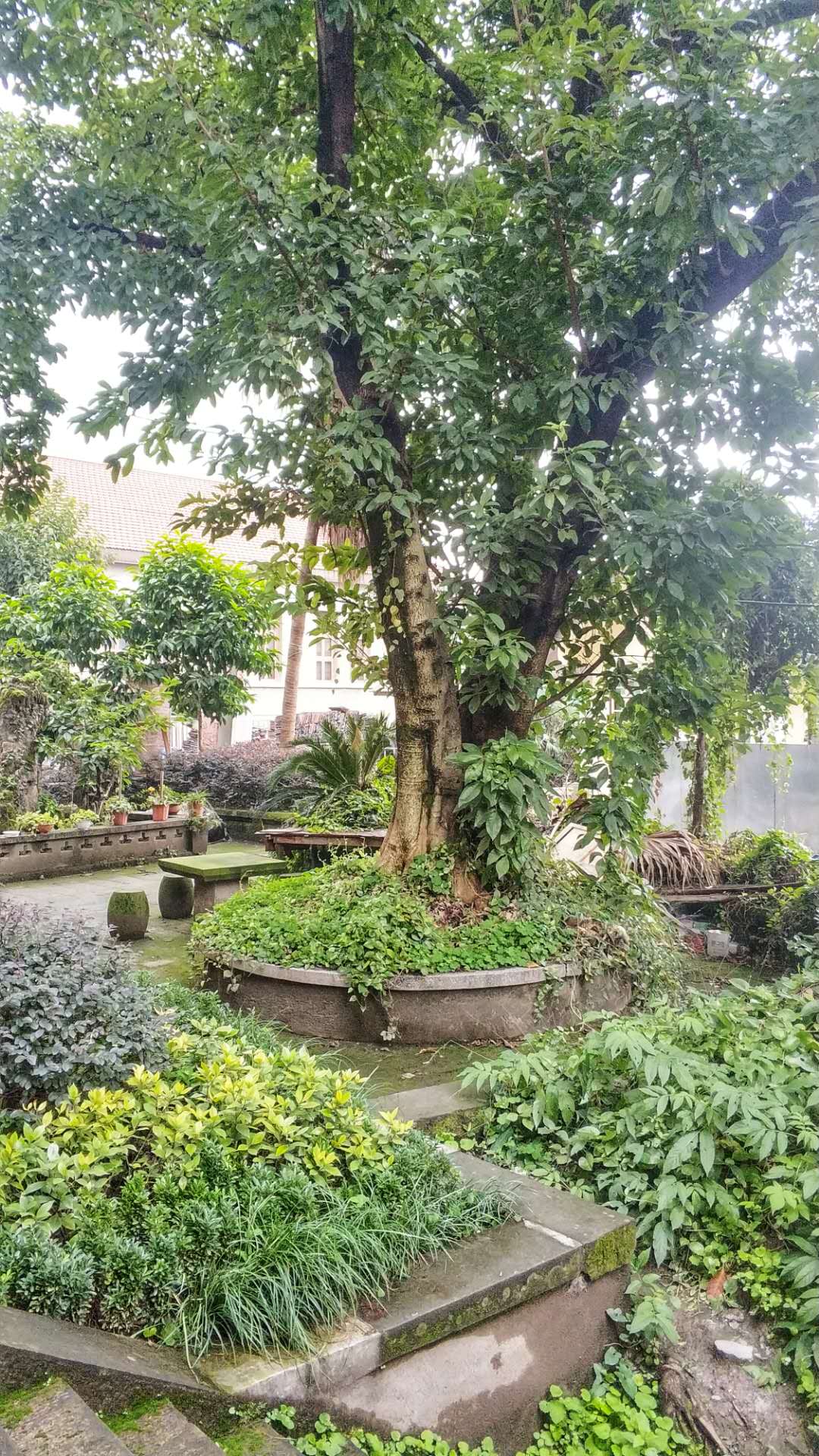 谍战山城是哪里,重庆闹市区一座隐秘的公馆