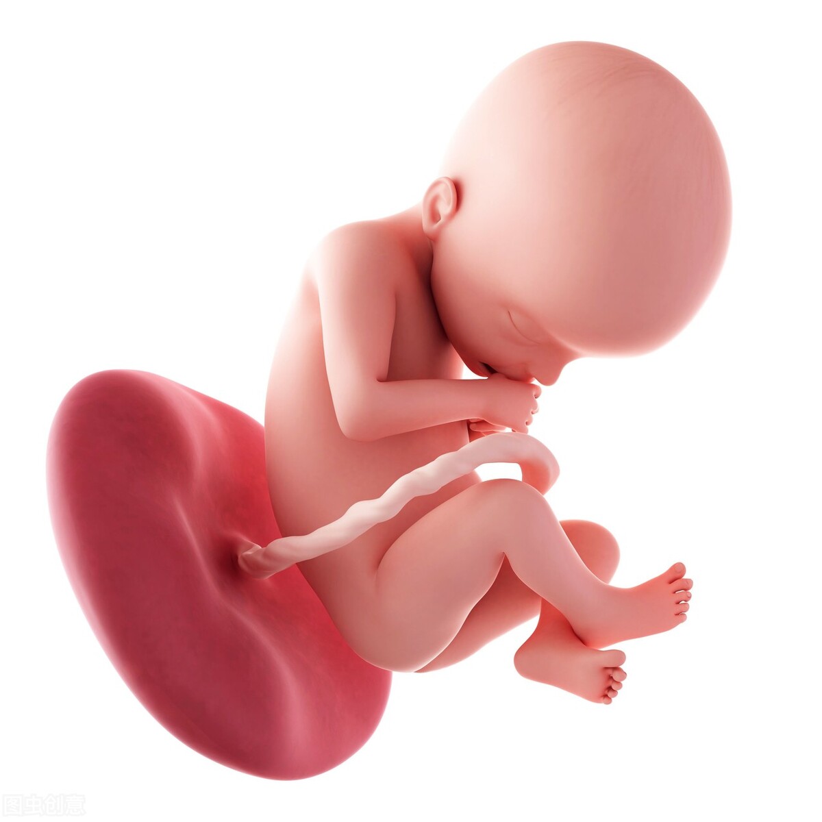 备孕的爸妈请注意！什么时候是最佳受孕期？