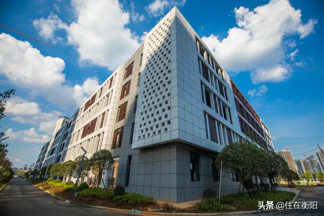 300亿，陆家新区变成什么样了？