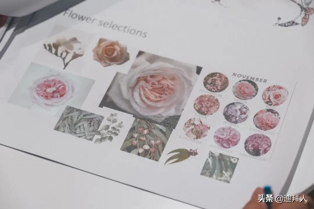 40岁创业，为皇室婚礼供花，还和阿航谈化妆品生意的亚洲女性