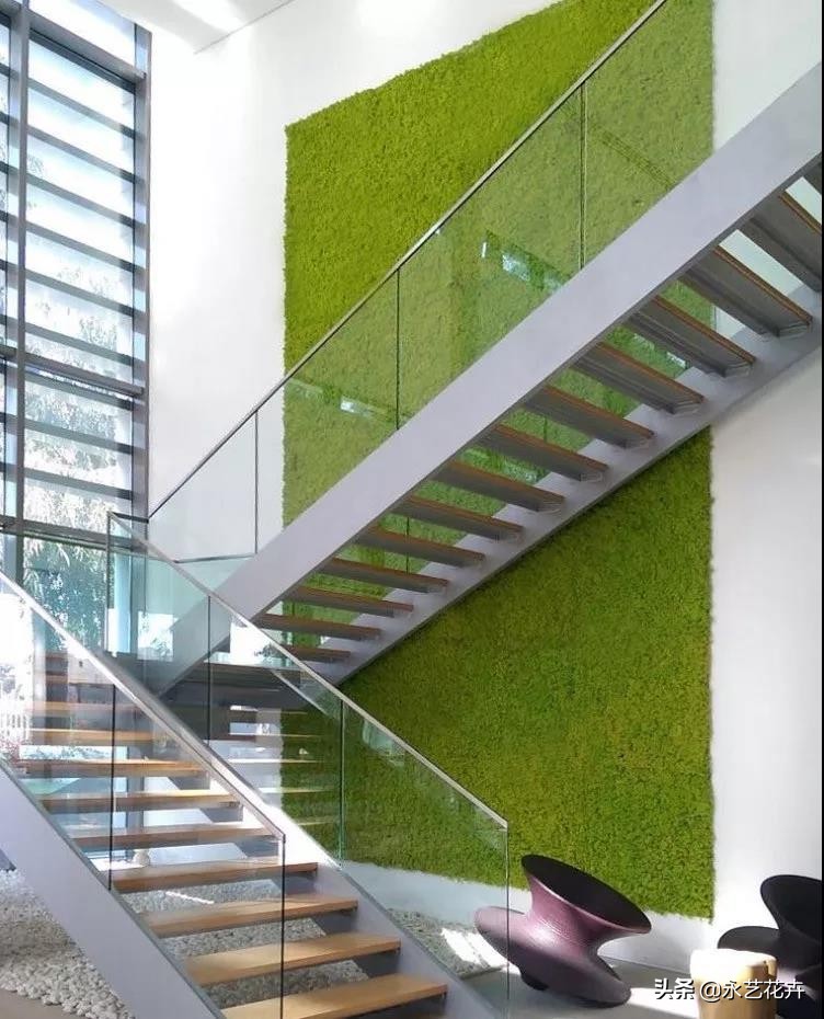 永生花苔藓植物墙,永生苔藓的价格